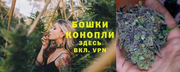 гидропоника Богородицк
