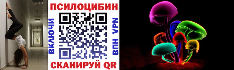 Галлюциногенные грибы Psilocybine cubensis наркошоп Елизаветинская