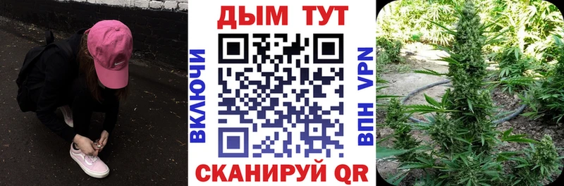 Конопля семена  Елизаветинская 